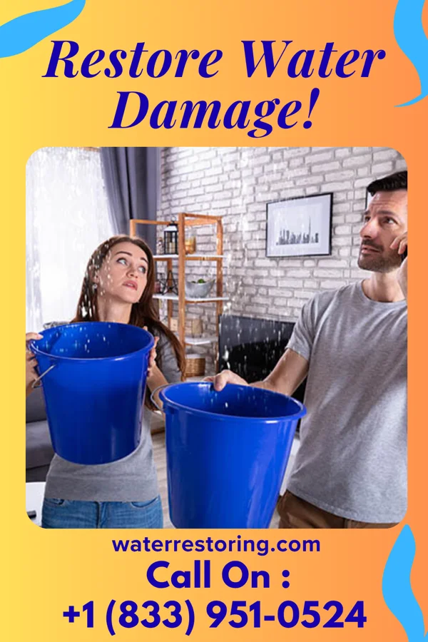 water restoration Precision Water Mitigation Force Bellerive Acres