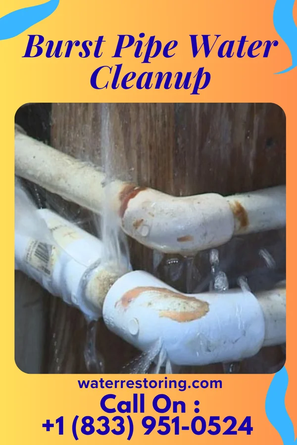 Burst Pipe Water Cleanup in Bellerive Acres, MO