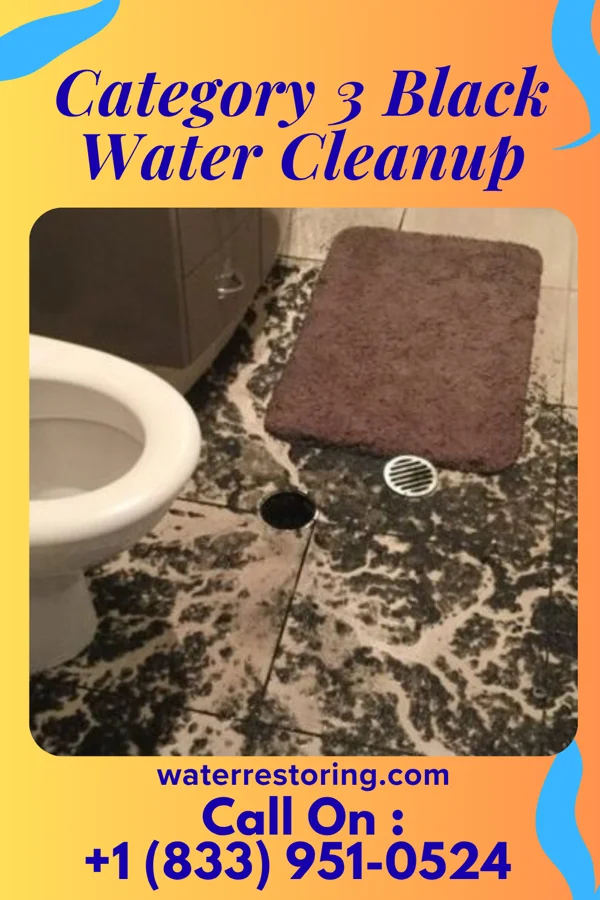 Category 3 Black Water Cleanup in Bellerive Acres, MO
