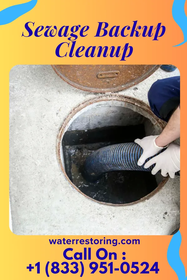 Sewage Backup Cleanup in Bellerive Acres, MO