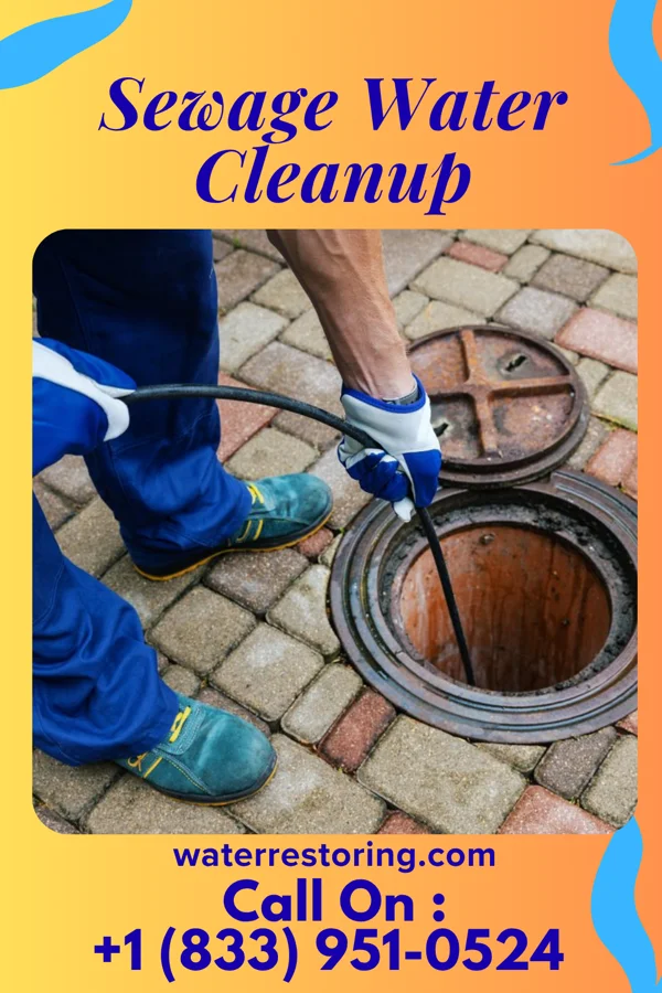 Sewage Water Cleanup in Bellerive Acres, MO