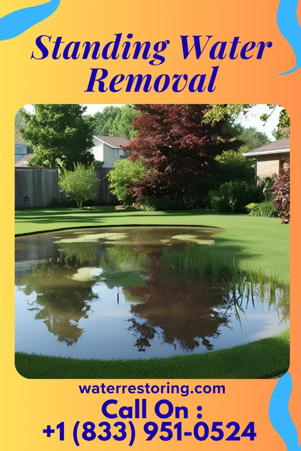 Standing Water Removal in Bellerive Acres, MO
